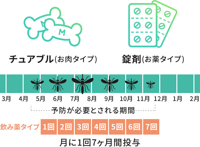 フィラリア予防 姫路 神戸の動物病院 エルザ動物病院