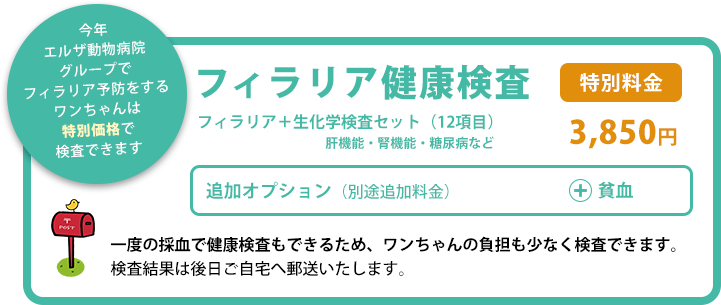 フィラリア健康検査 特別料金3,850円(税込)