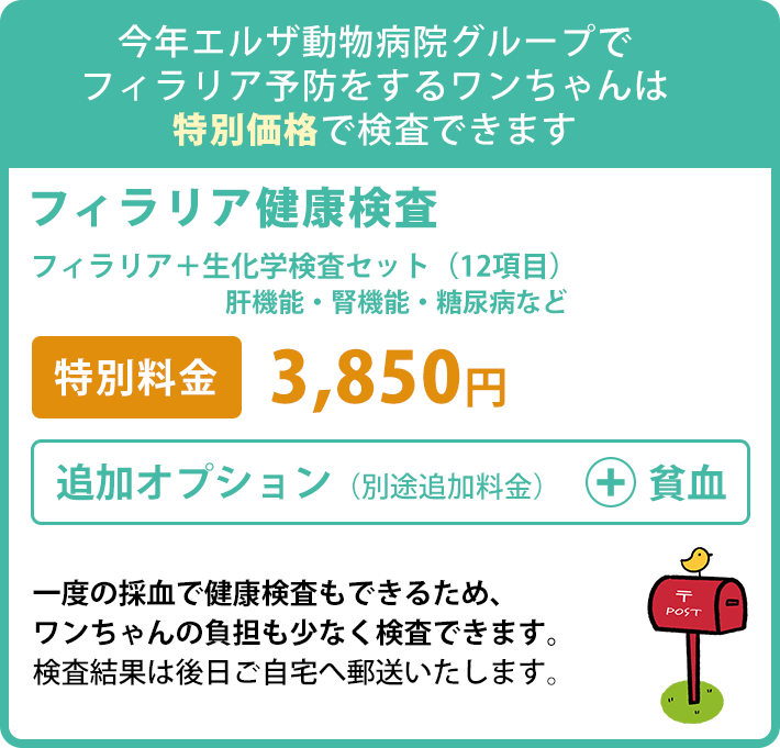 フィラリア健康検査 特別料金3,100円