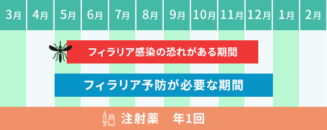 注射タイプ（年に1回）