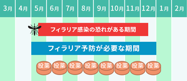 飲み薬タイプ(月に1回×8ヶ月間)