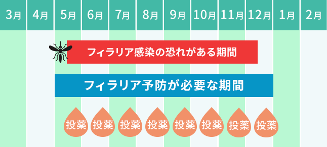 スポットタイプ（月に1回×7ヶ月間）