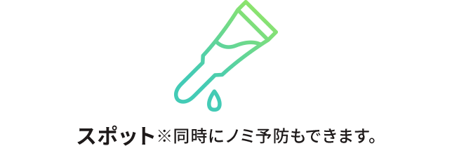 スポットタイプ(月に1回×8ヶ月間)