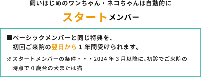 「スタートメンバー」