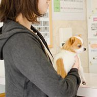ペットケアステイ