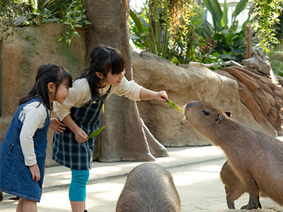 神戸動物王国