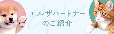 エルザパートナーのご紹介