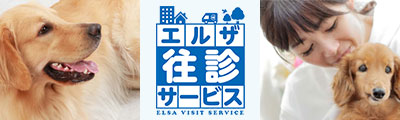 エルザ往診サービス